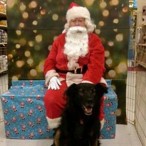 Team Page: Team Shiloh!